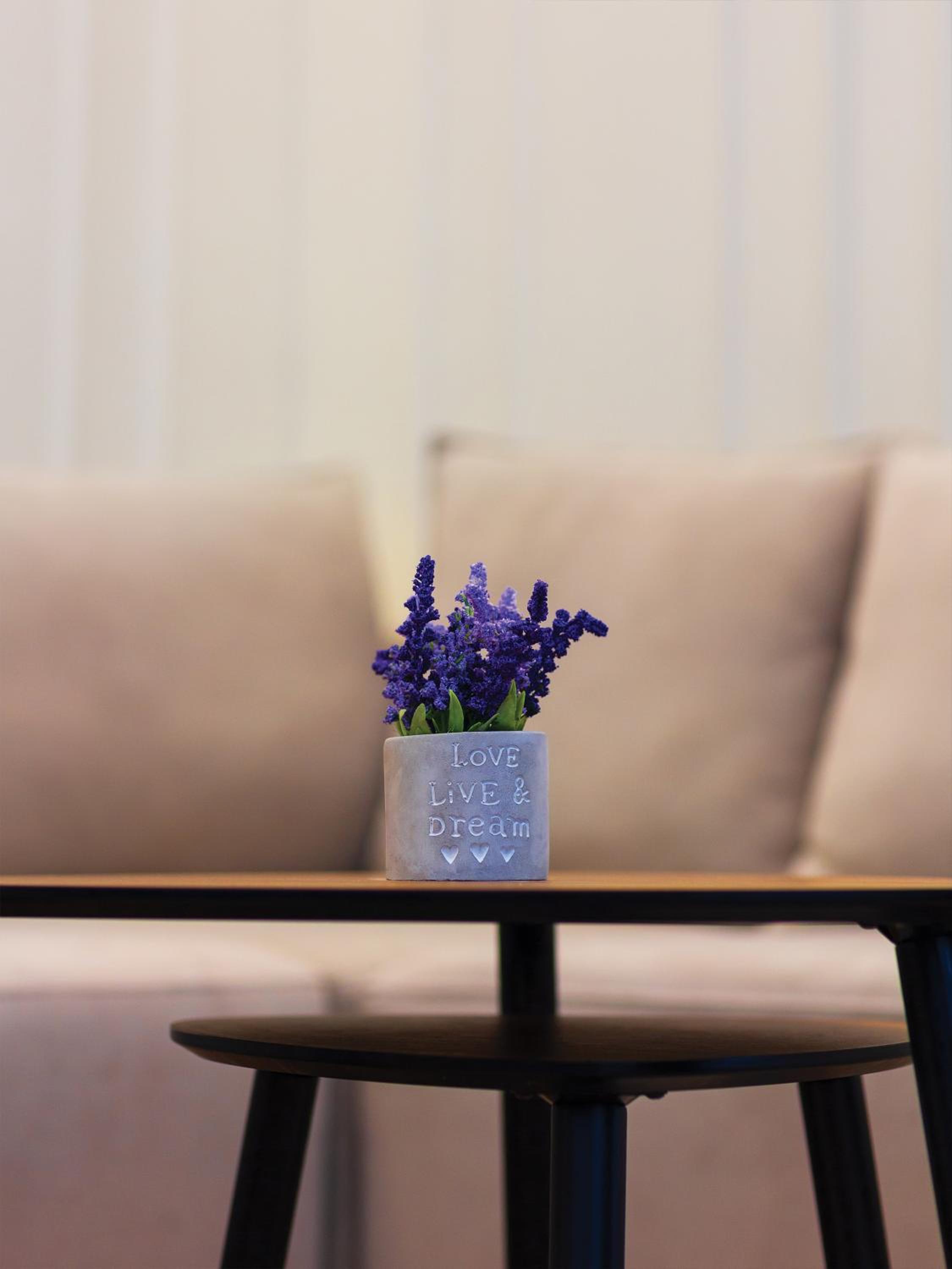 Luxury CityView Apartment
