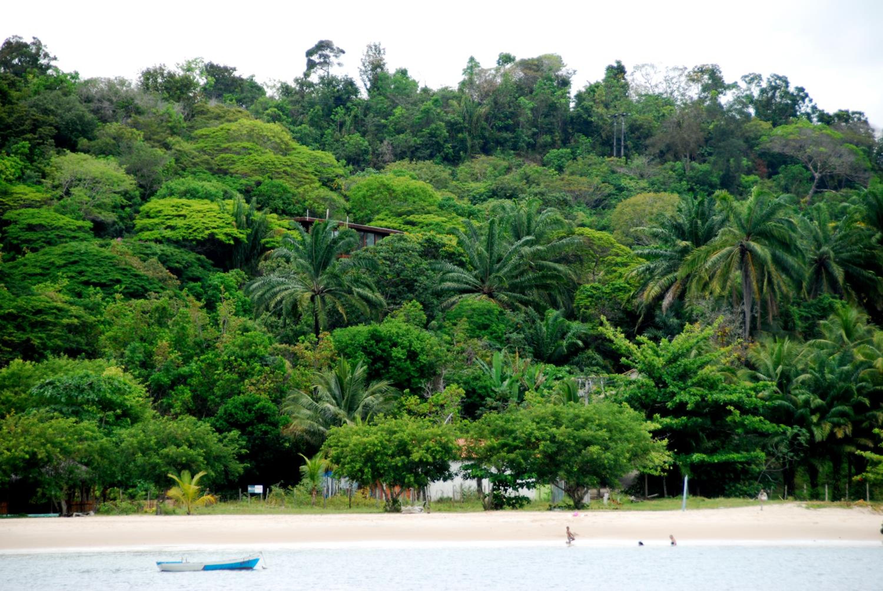 A Casinha da Floresta