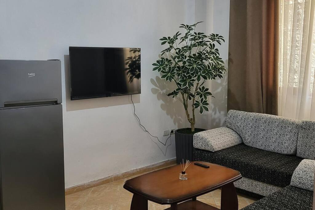 Spacious and Affordable Tirana