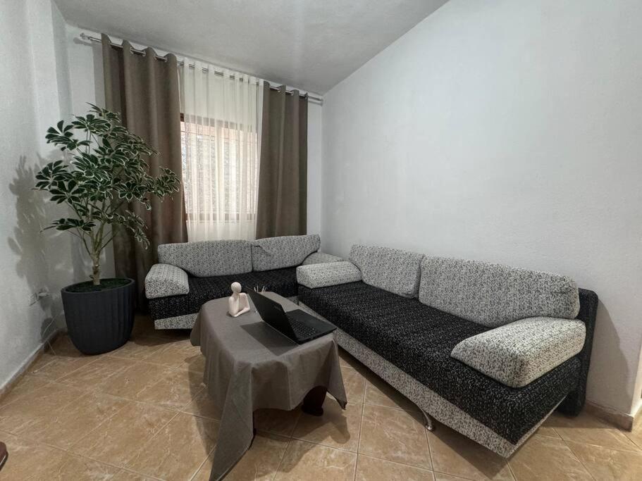 Spacious and Affordable Tirana