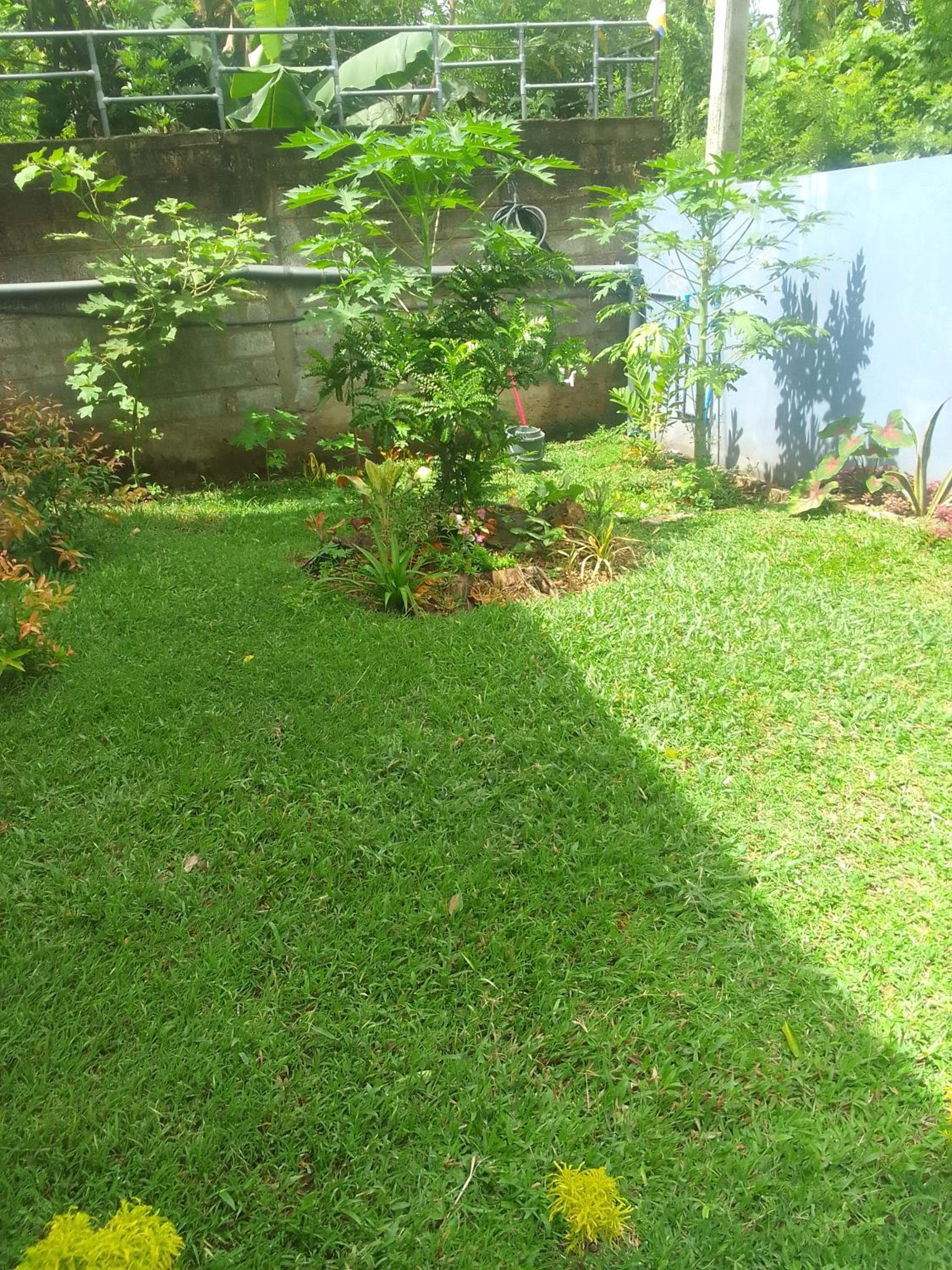 Photo 28