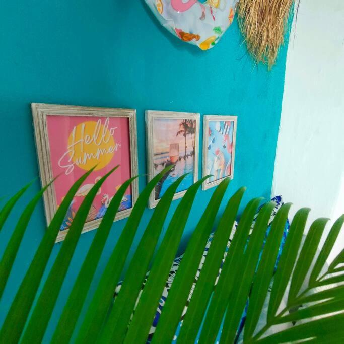 Palm Haven