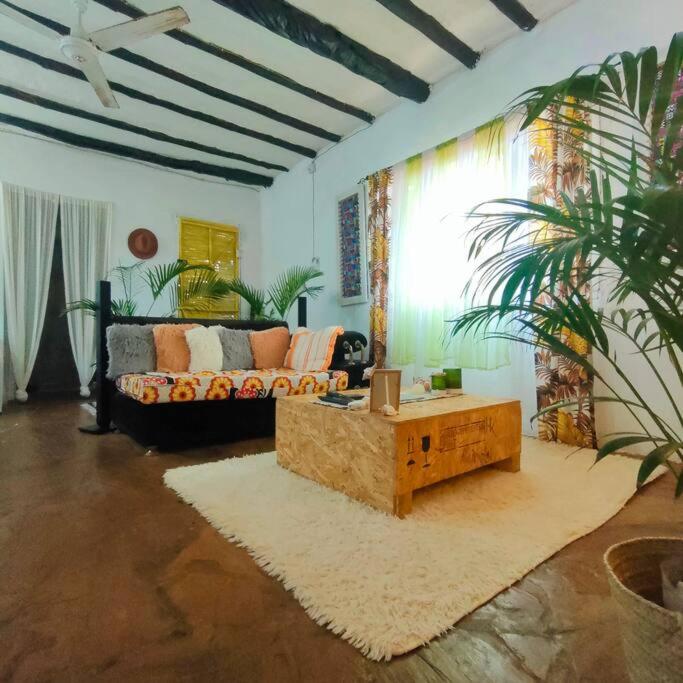 Palm Haven