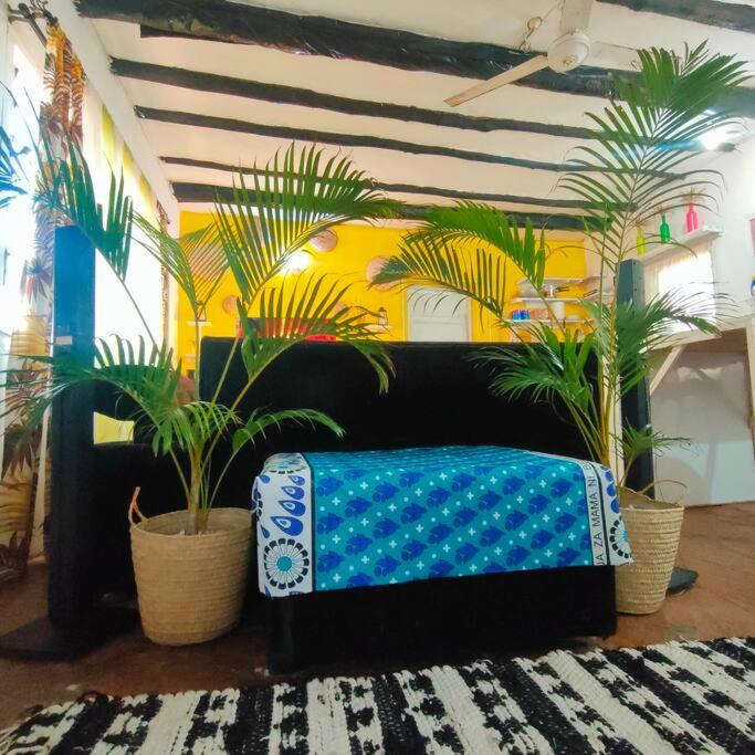 Palm Haven