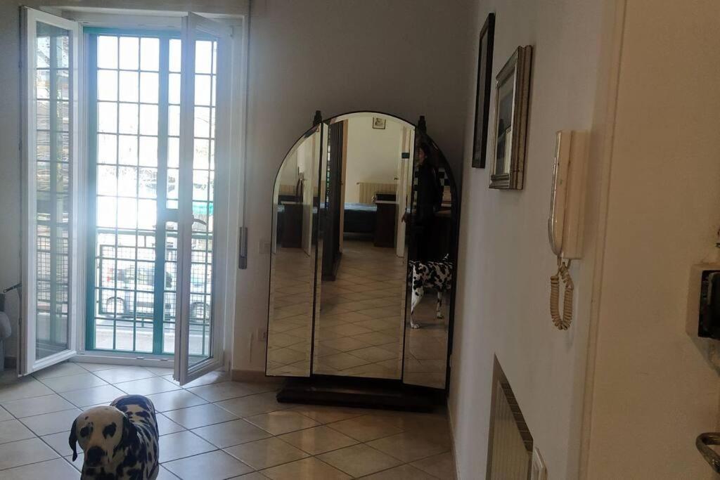 Delicious flat 100 meters from the beach view 2