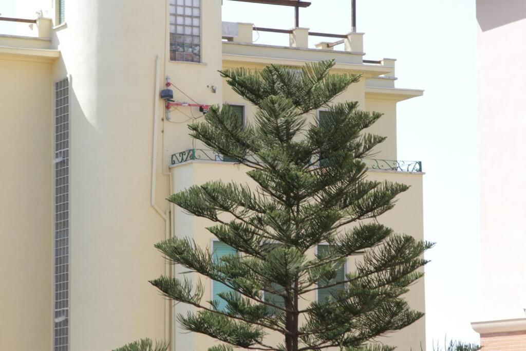 Delicious flat 100 meters from the beach view 3