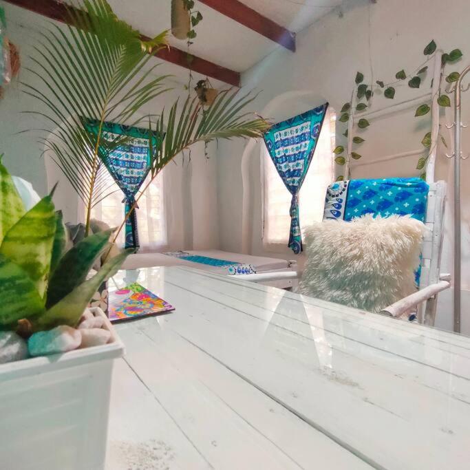 Palm Haven