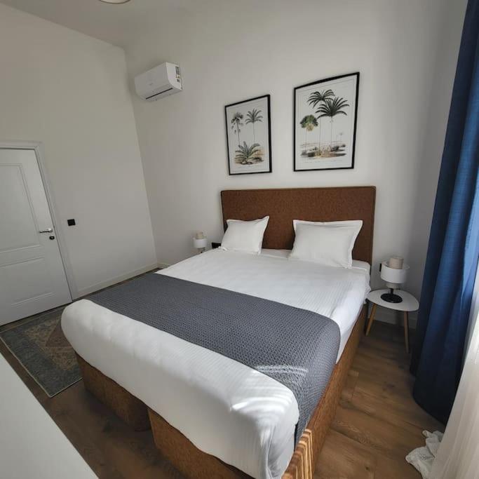 Historical Center Residence-Apartmet in Sofia