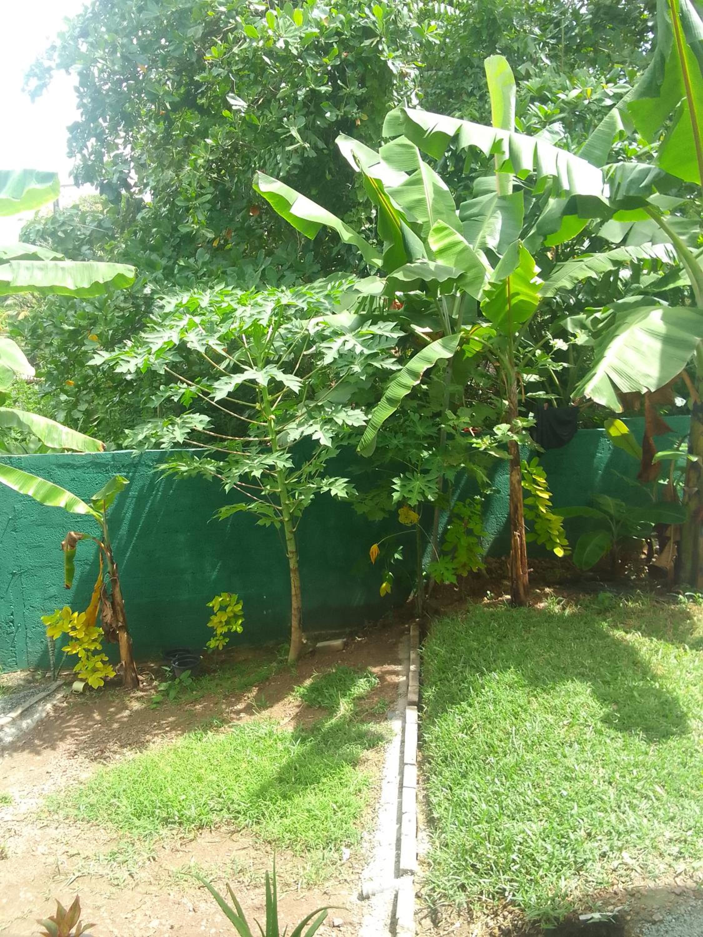 Photo 27