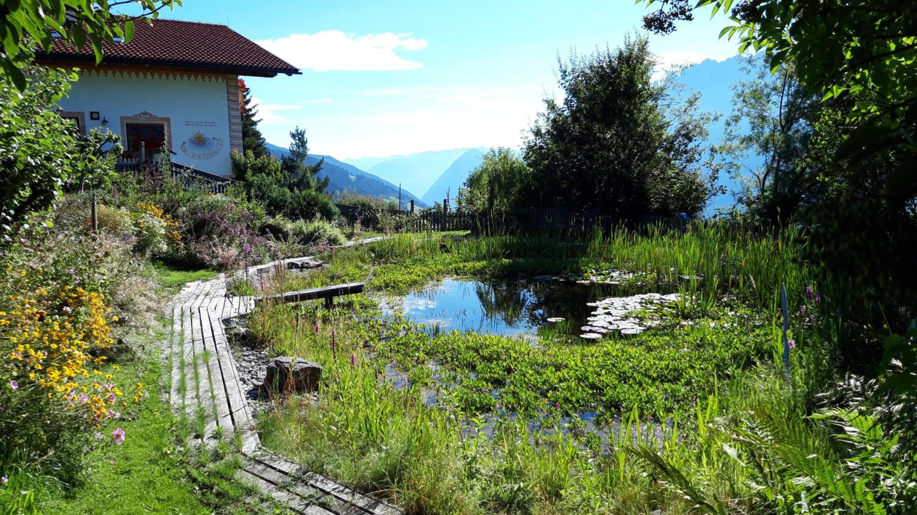 Binderhof