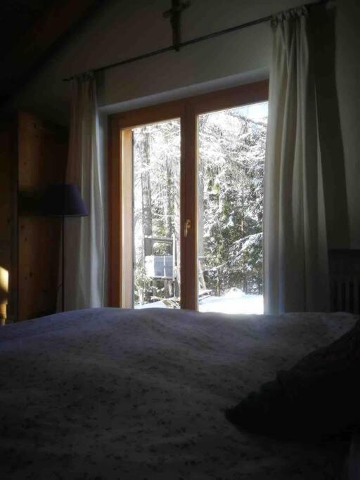 LA VOCE DEL BOSCO Selva di Cadore view 2