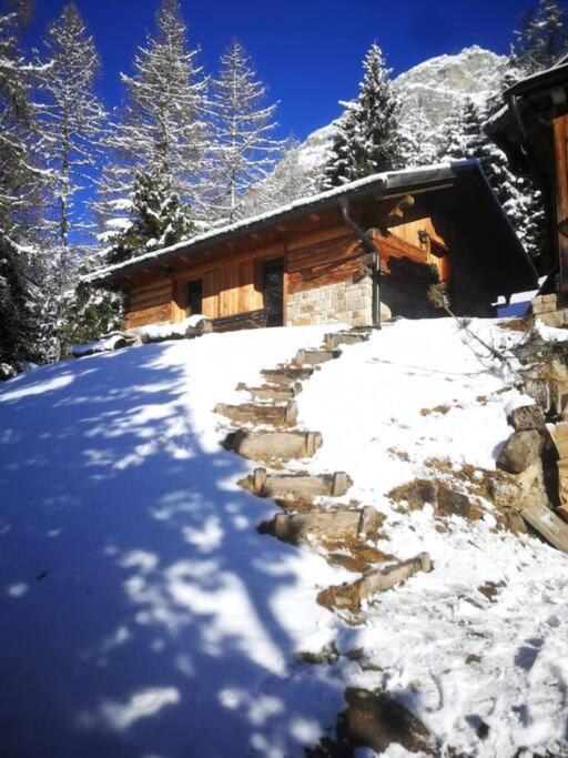 LA VOCE DEL BOSCO Selva di Cadore view 4