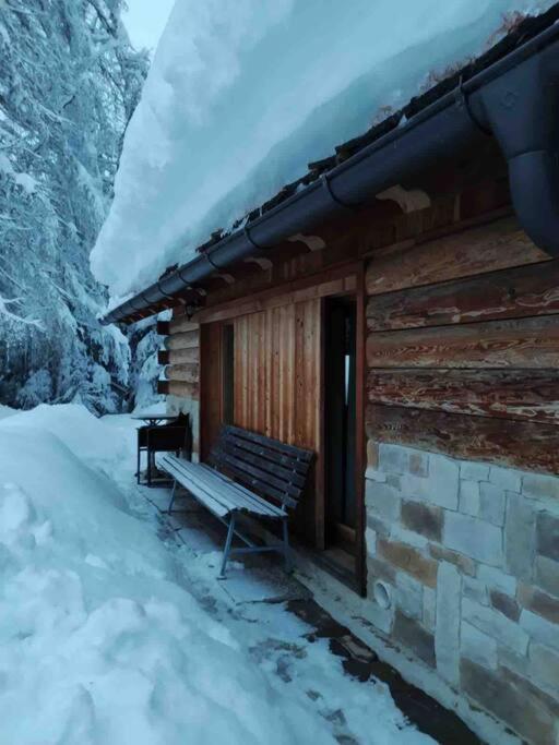 LA VOCE DEL BOSCO Selva di Cadore view 5