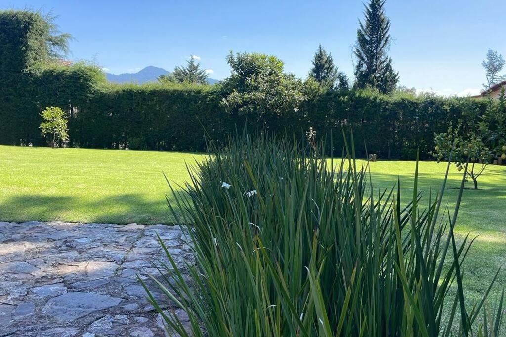 Villa Nona