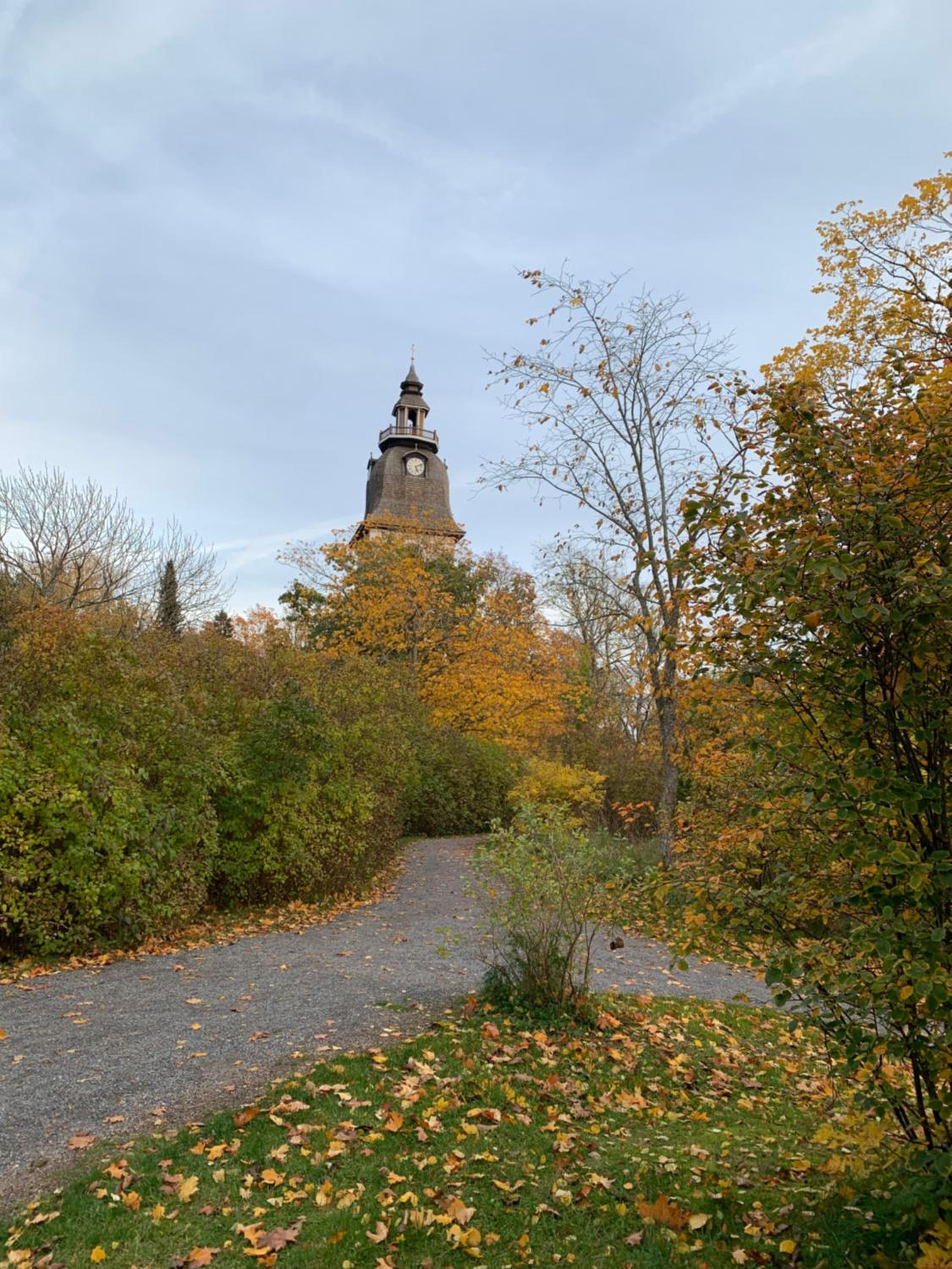 Photo 20