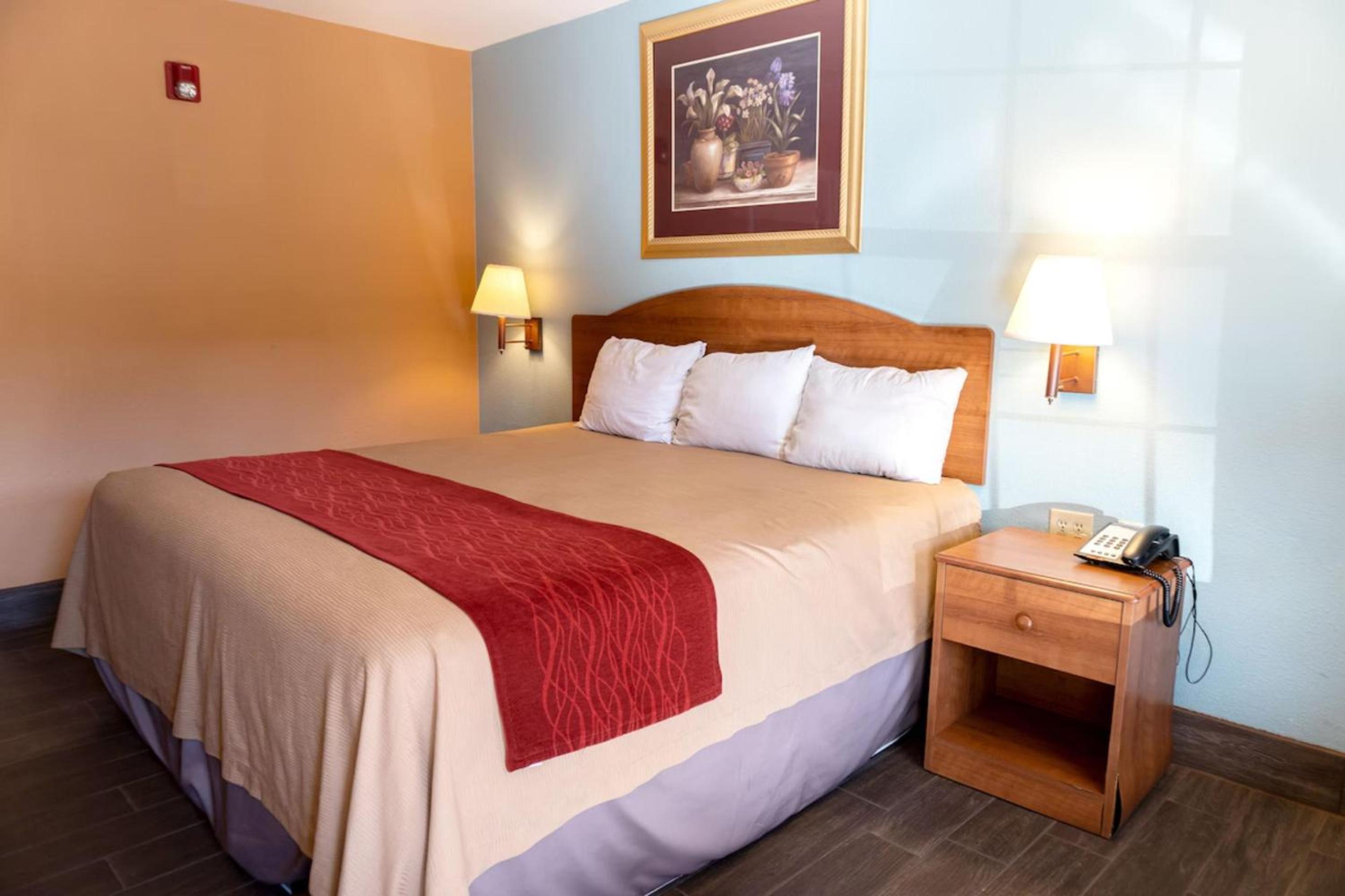 Sky Palace Inn By OYO Anthony KS view 5