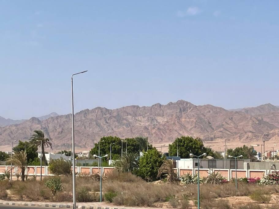 Dream apartment in Dahab