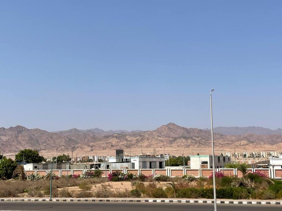 Dream apartment in Dahab