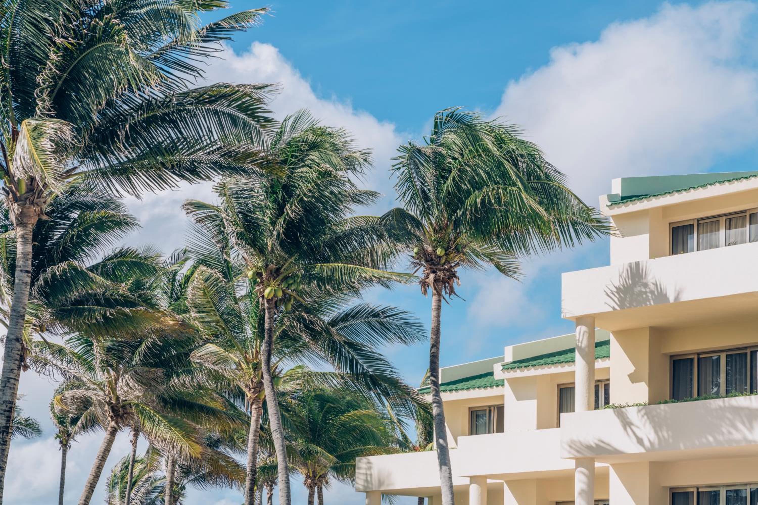 Iberostar Selection Cancun - All Inclusive photo 58 of 66