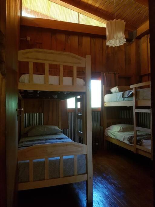 Casa en la selva