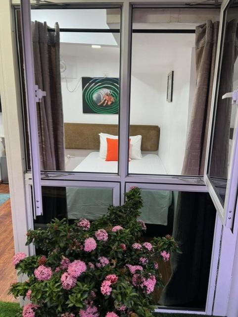 Rooftop Rooms photo 2