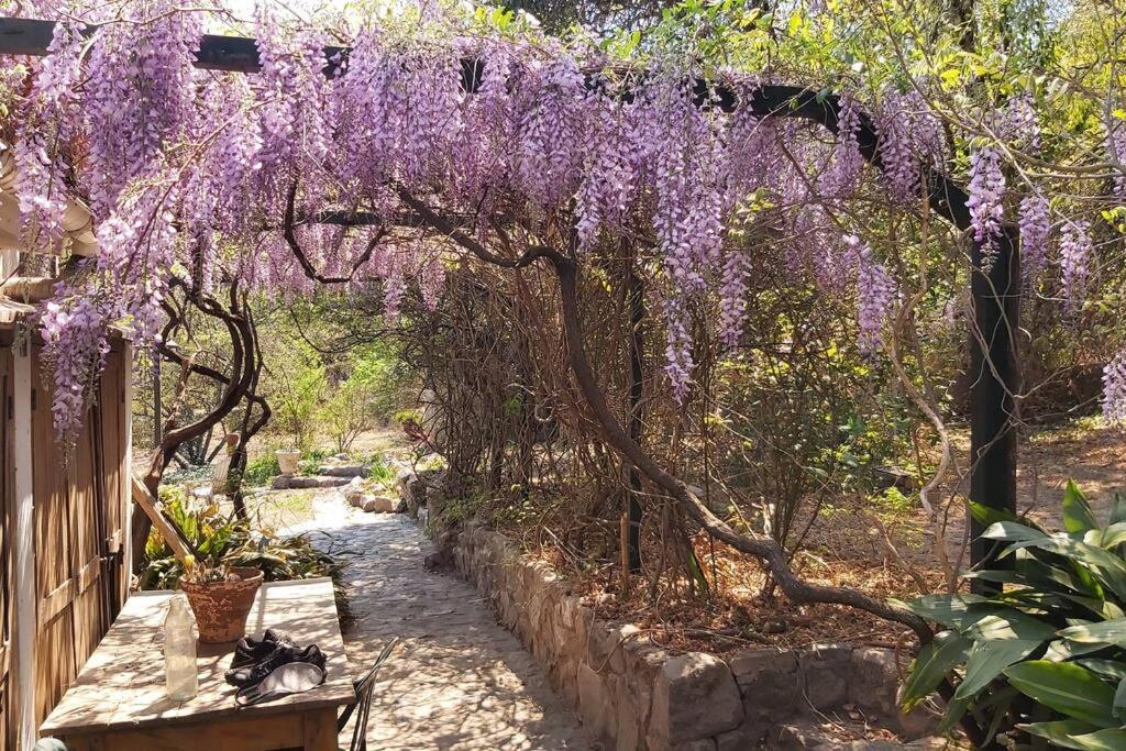 Hospedaje familiar, naturaleza y confort
