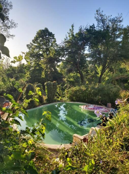 Hospedaje familiar, naturaleza y confort