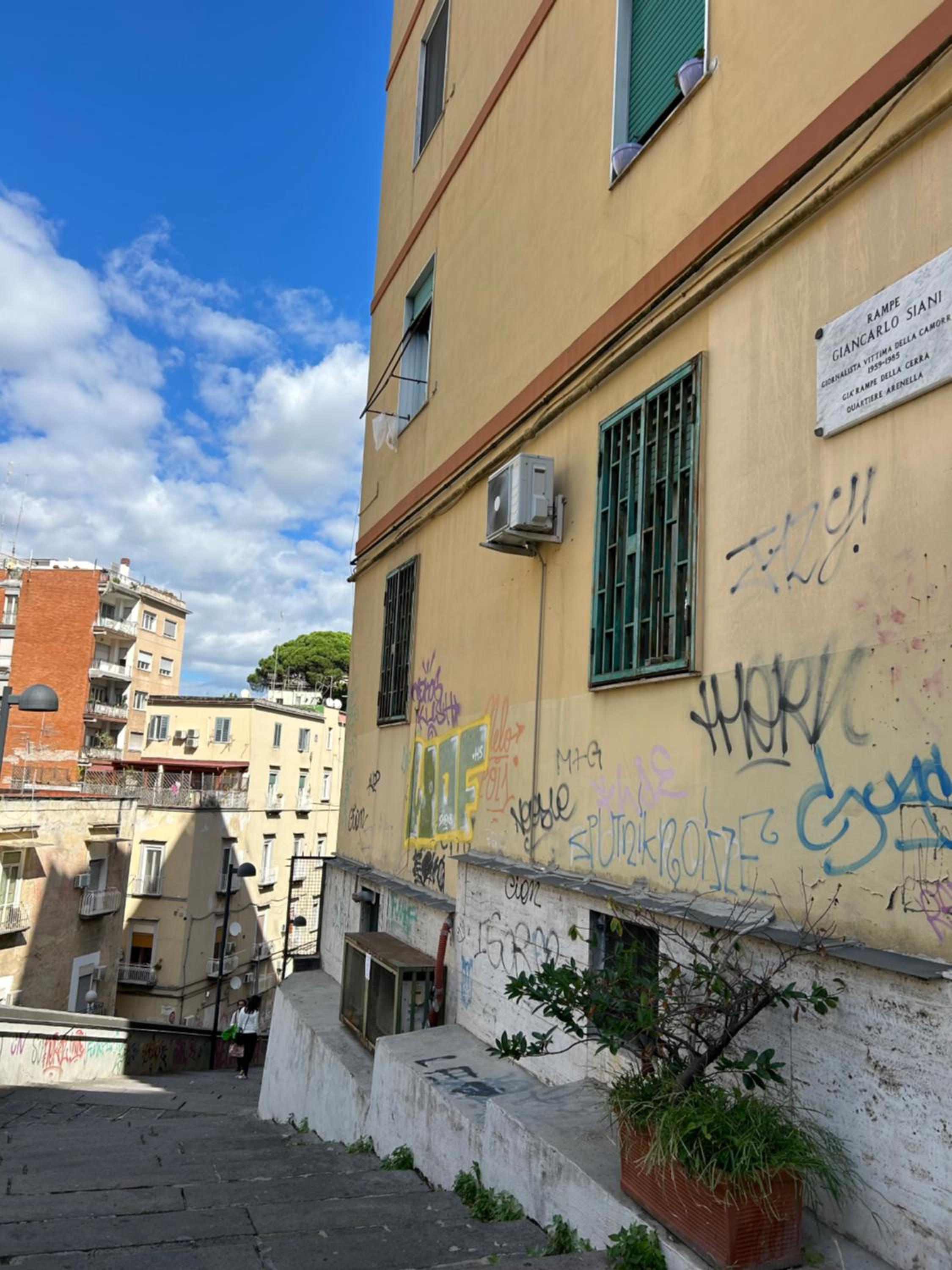 Suite Suarez photo 1