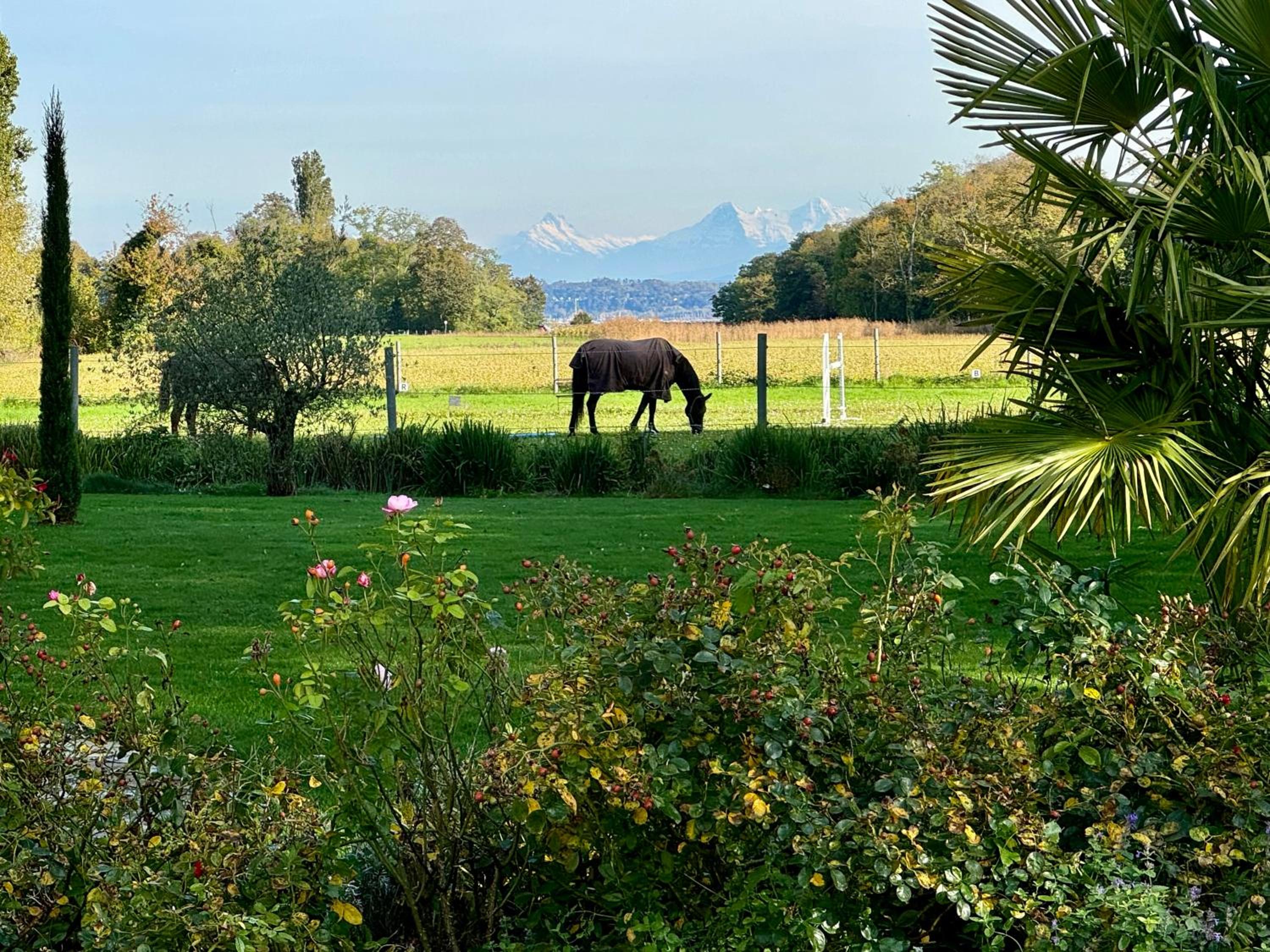 Ferme de Grandchamp
