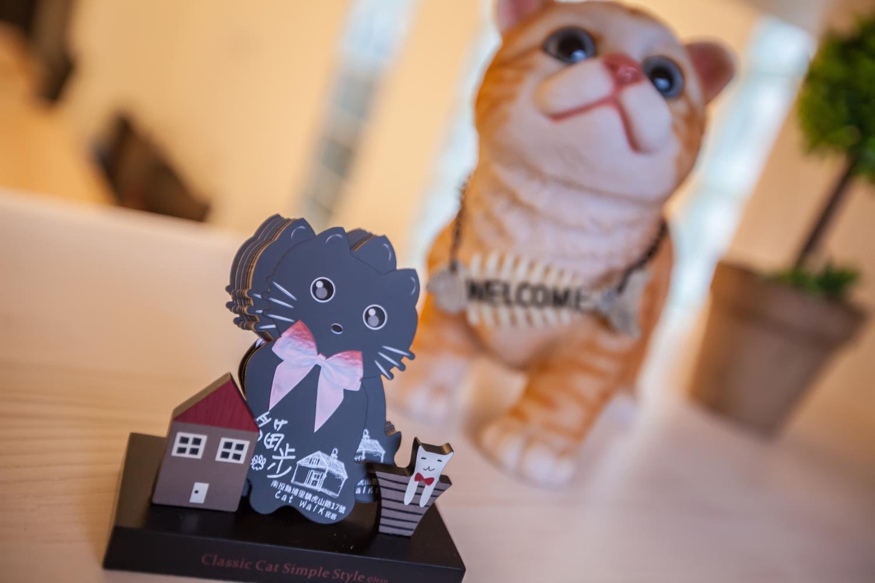 Cat Walk貓步民宿
