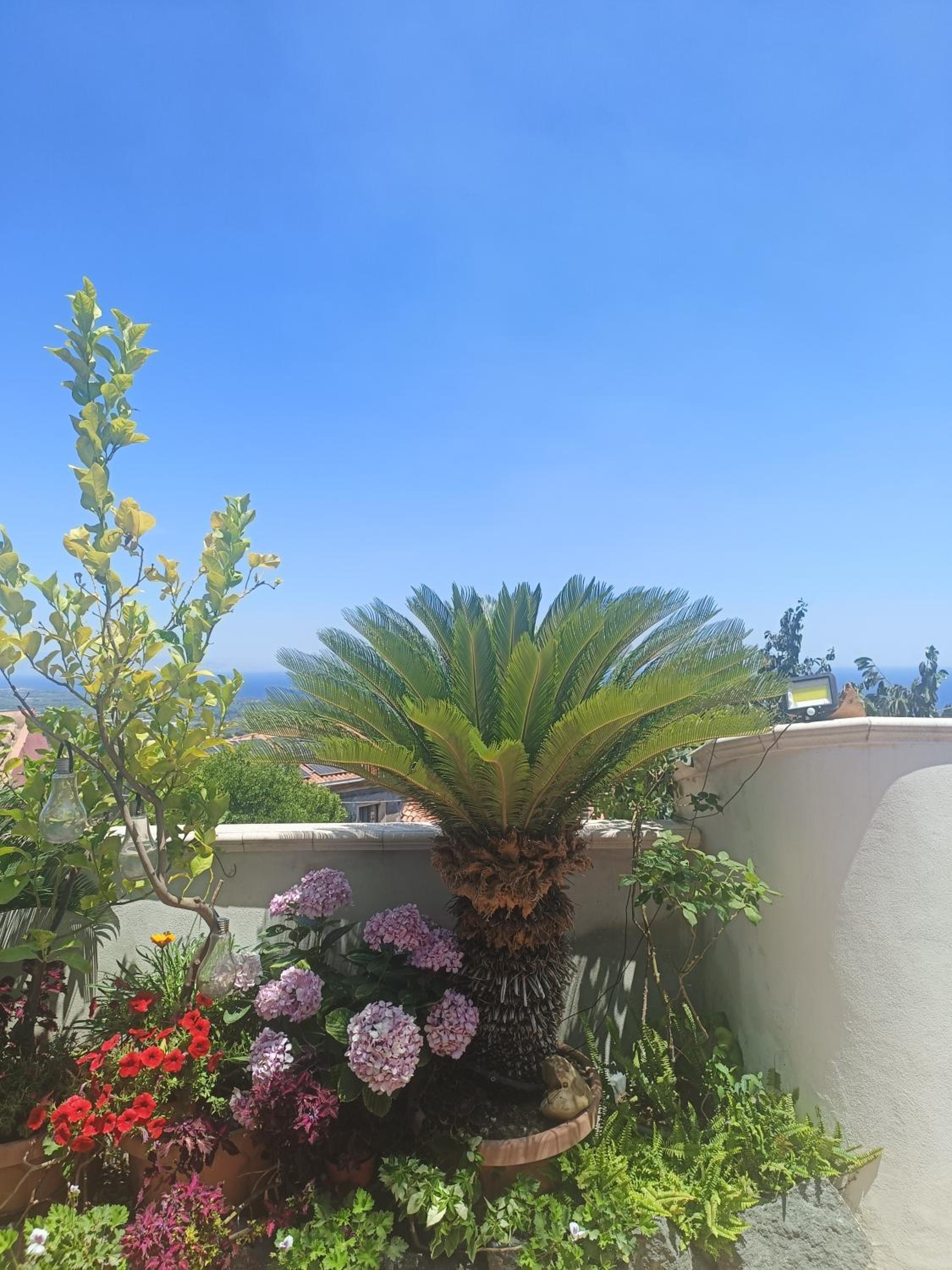 BlueSky view 3