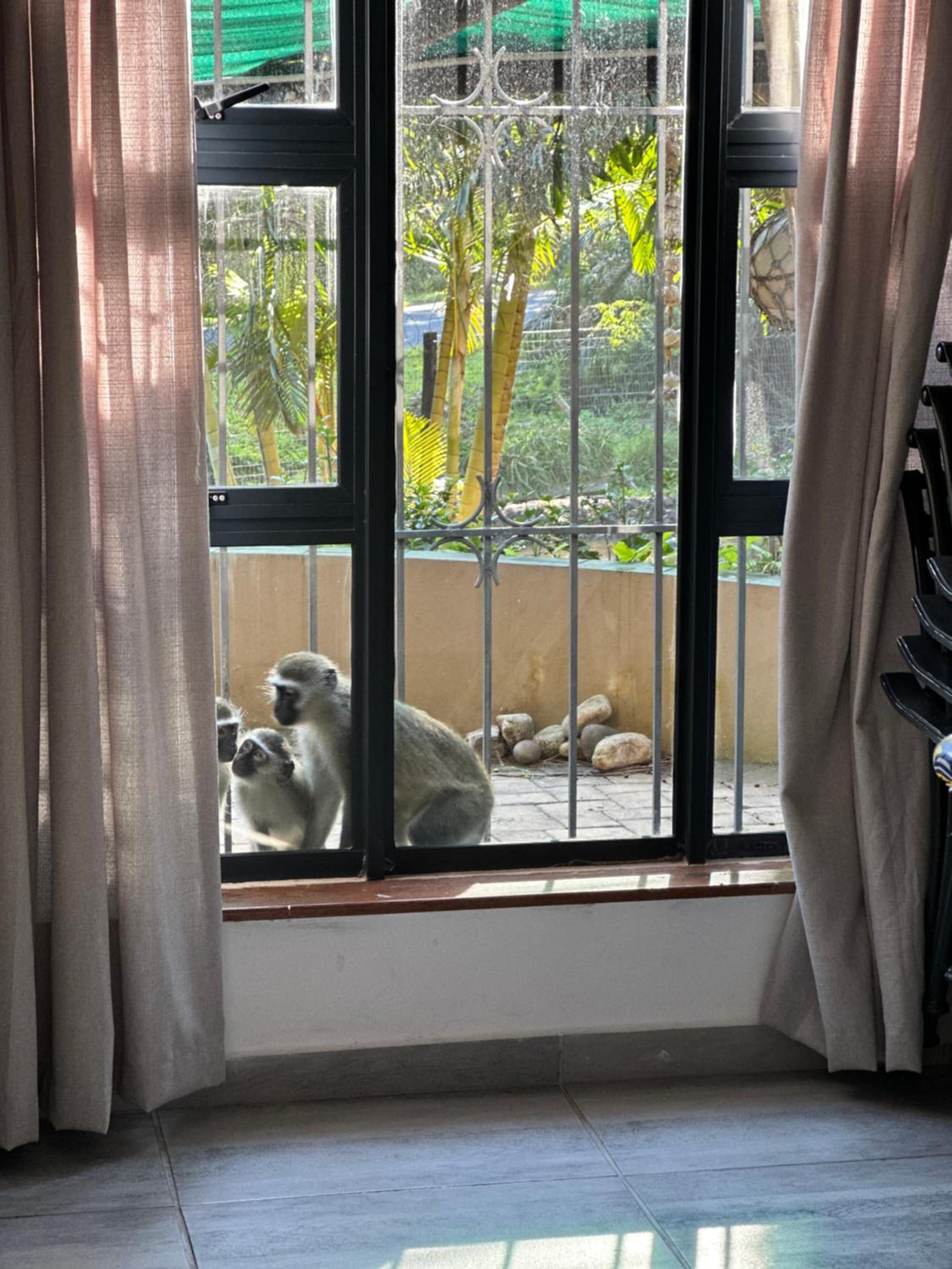 BlueHive guesthouse