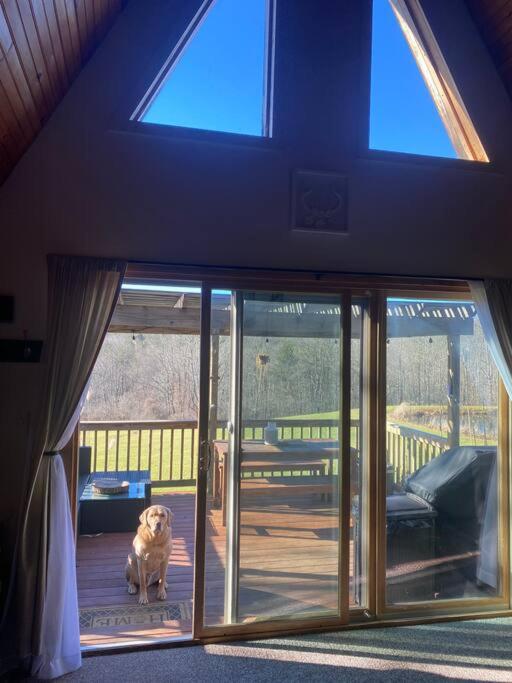 Corner's Cabin - A-Frame - Catskills NY view 2