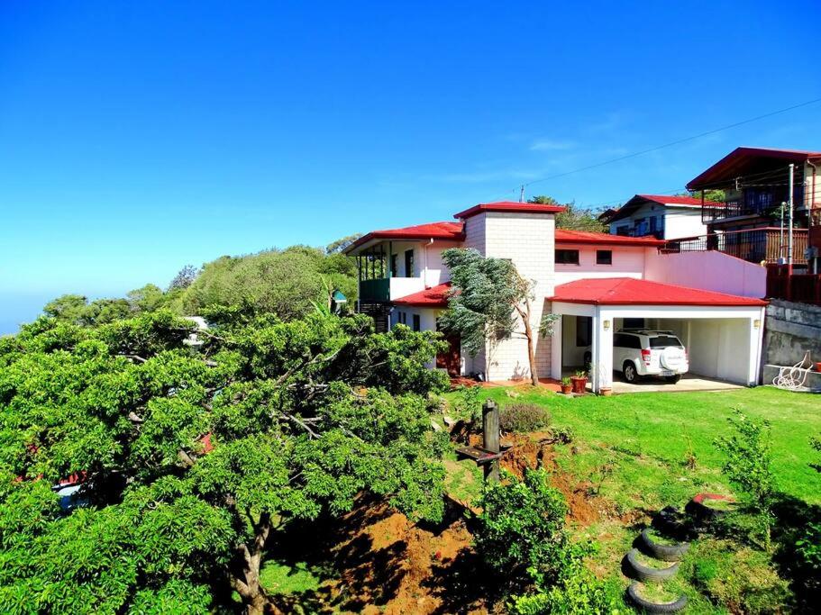 Casa Gatitos big whole House