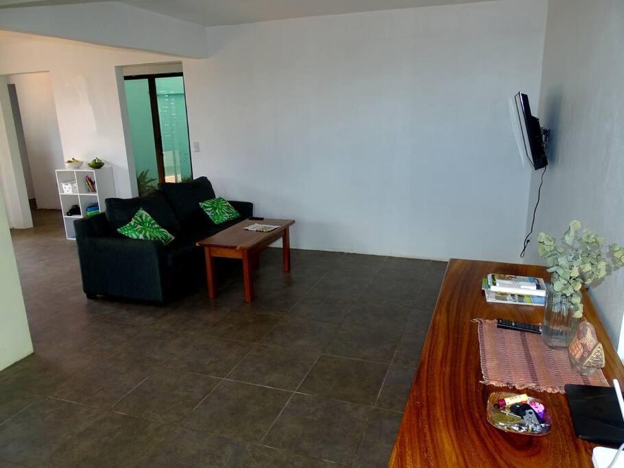 Casa Gatitos big whole House