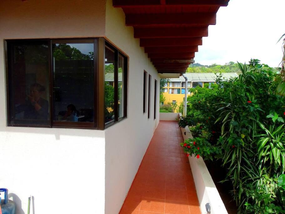 Casa Gatitos big whole House