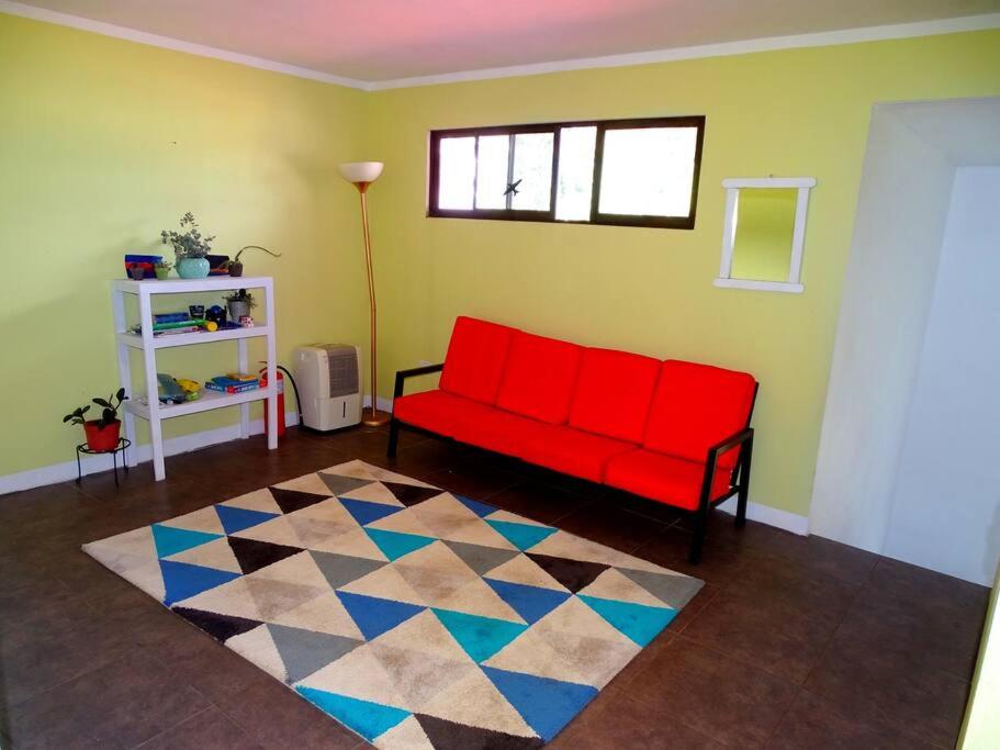 Casa Gatitos big whole House