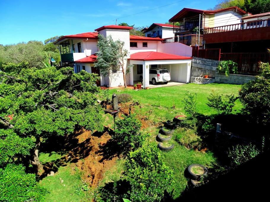 Casa Gatitos big whole House