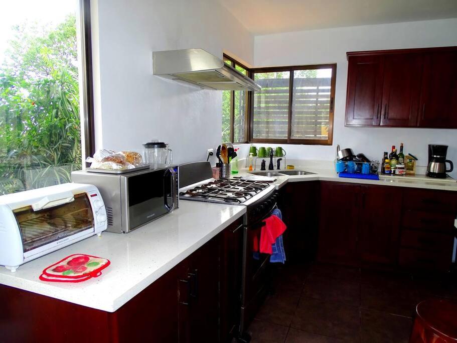 Casa Gatitos big whole House