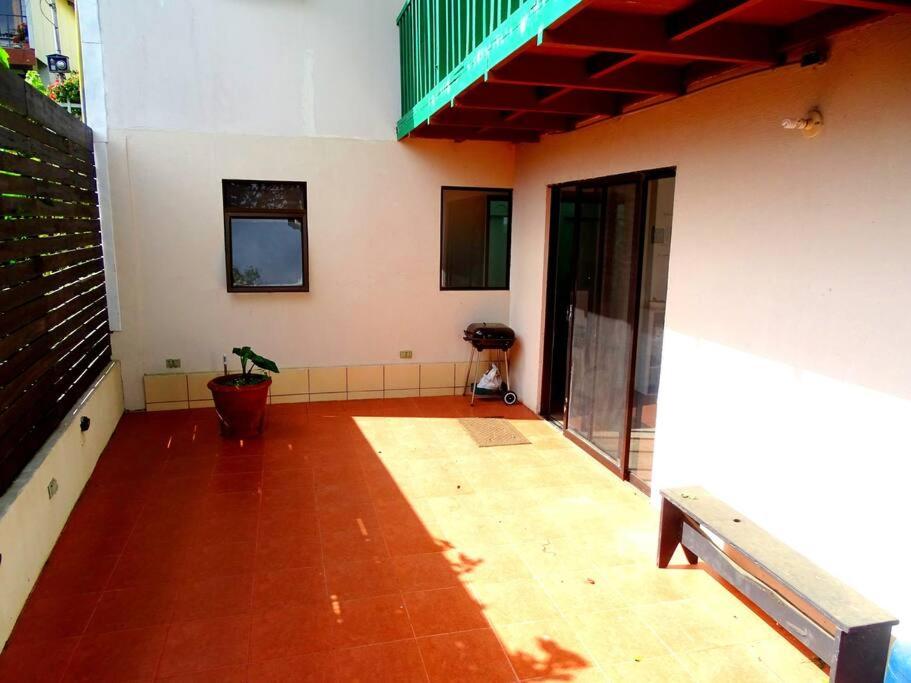 Casa Gatitos big whole House