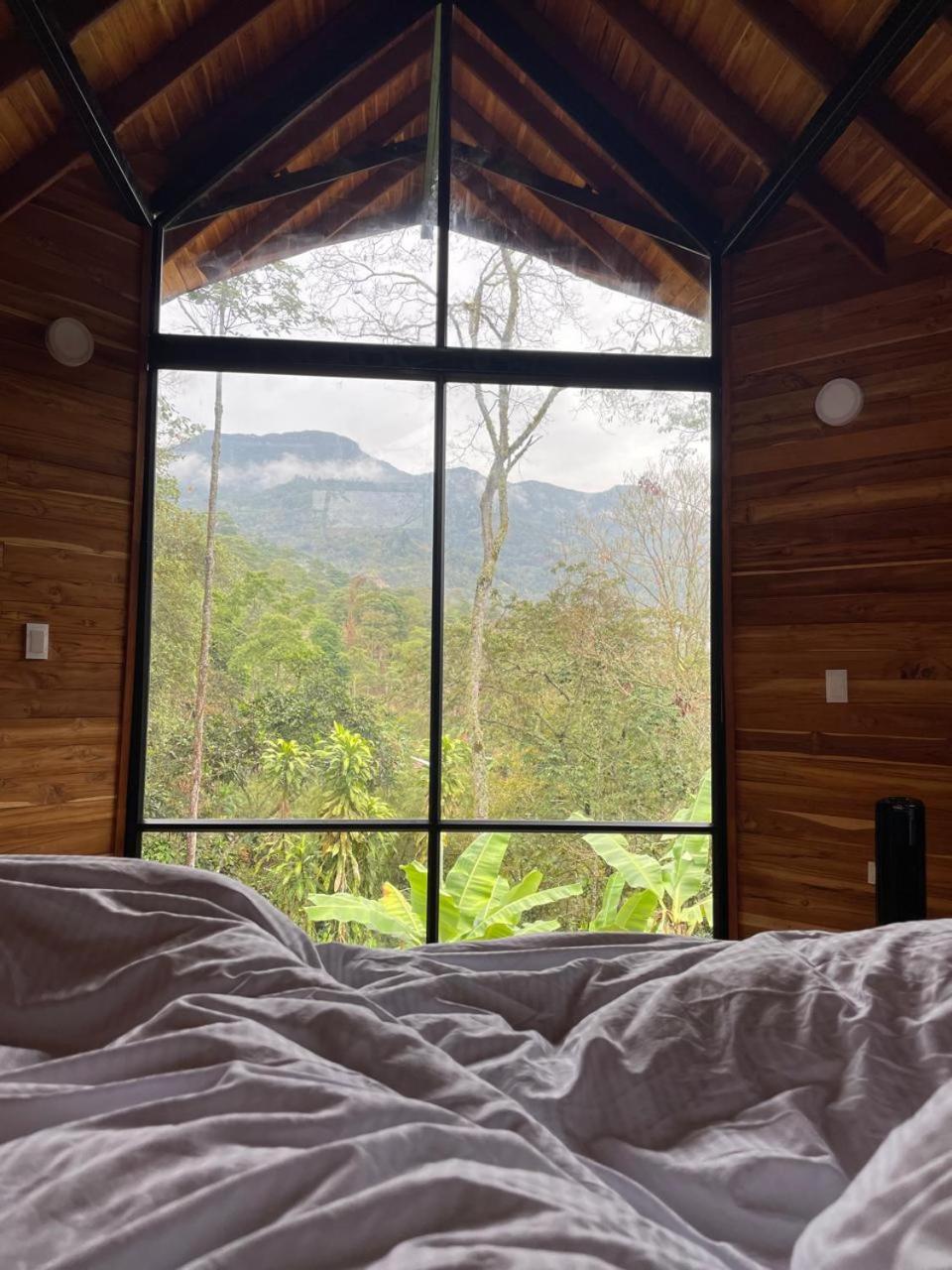 Mogambo Ecolodge