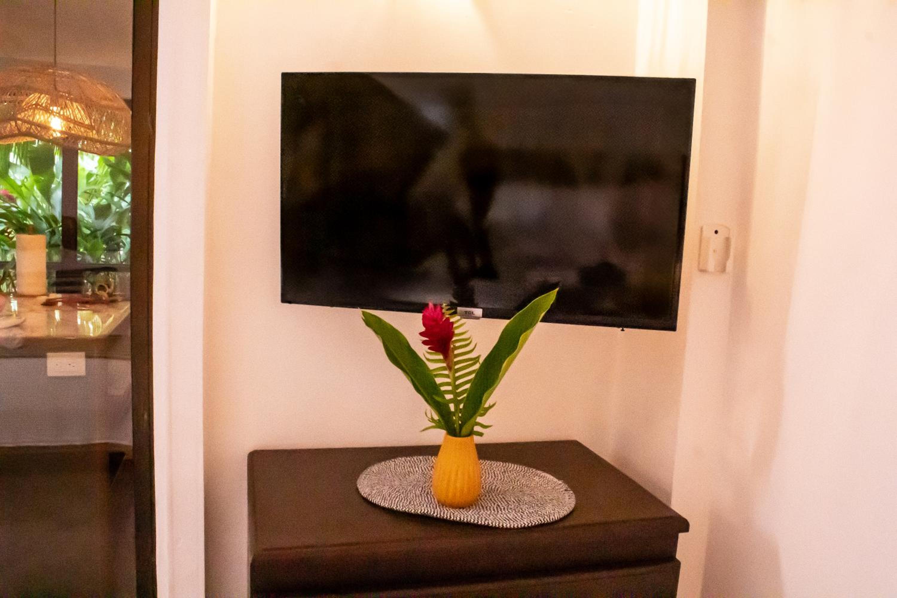Coral Studio near the beach