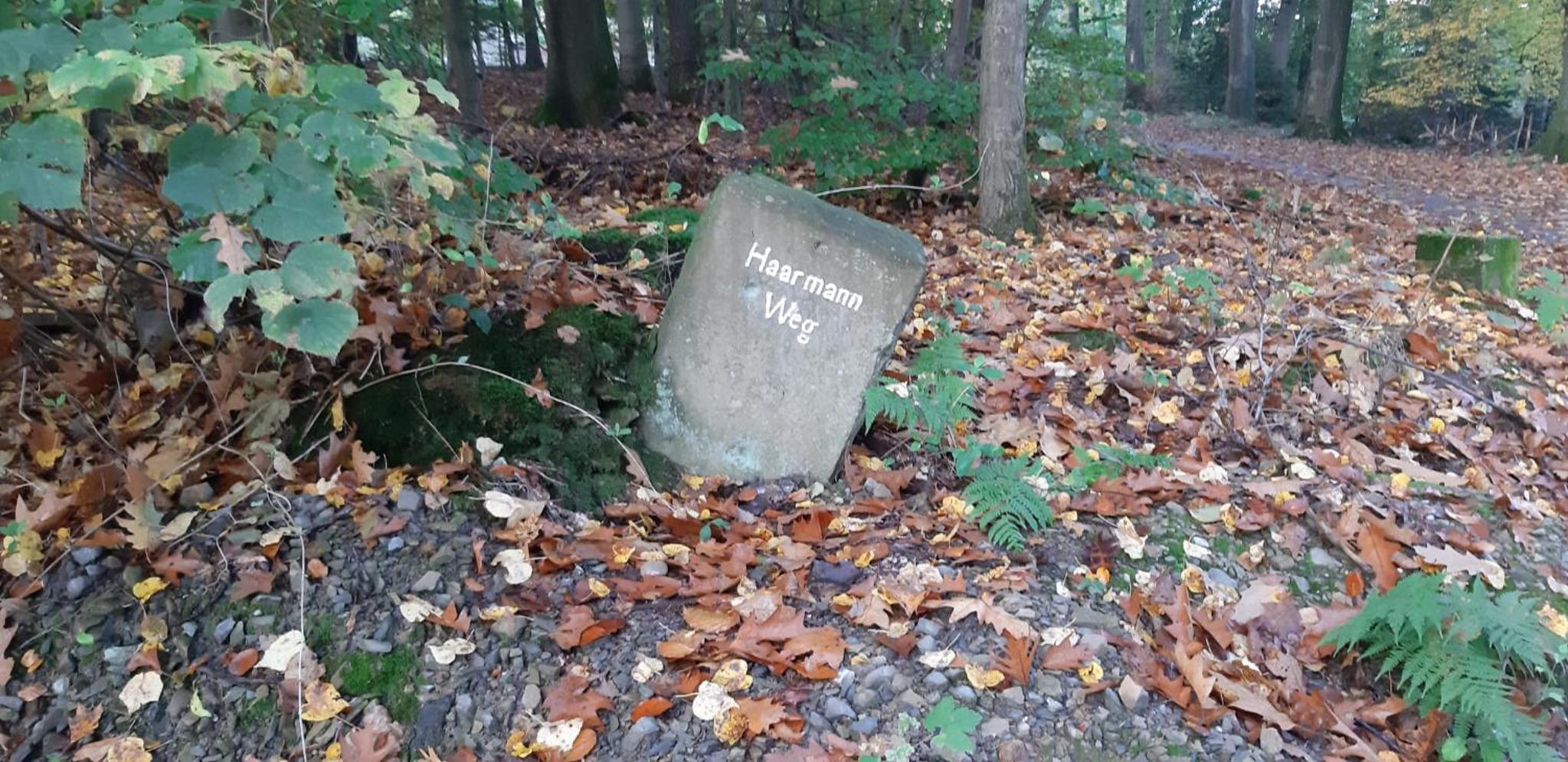 Ferienwohnung Höhrath