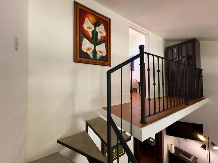 Casa Shearwater