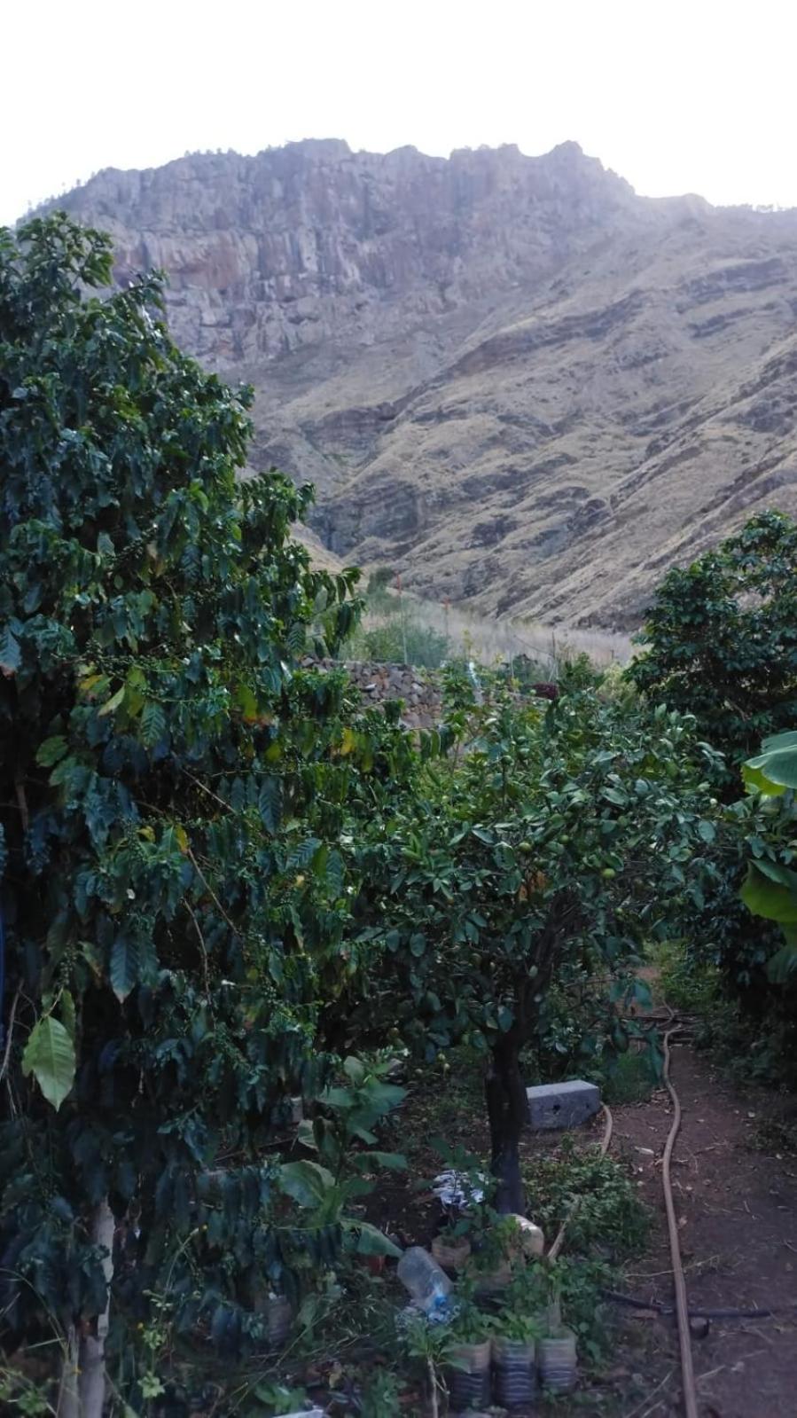 Photo 33