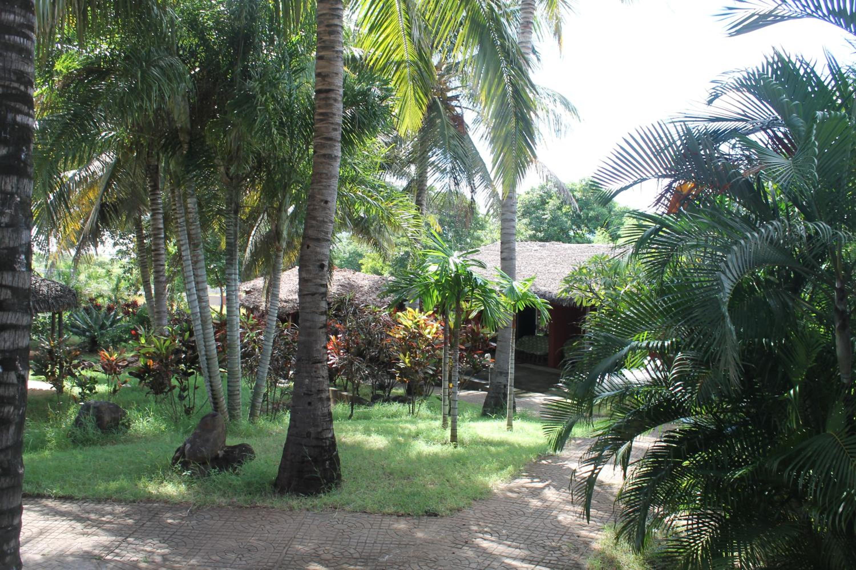 garden