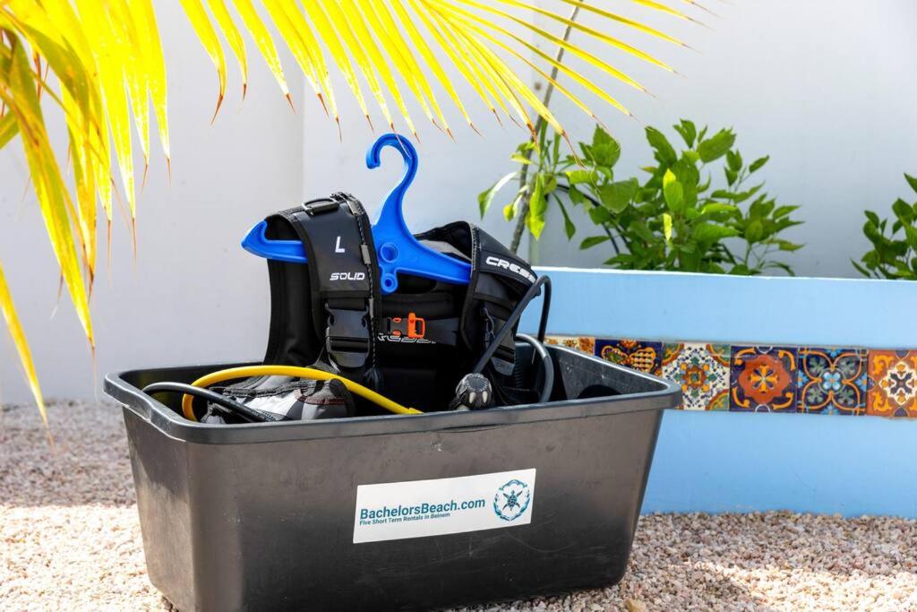 Your Bonaire Escape a 2BR Pool House BachelorsBeach for Divers