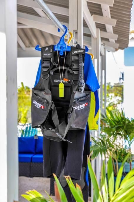 Your Bonaire Escape a 2BR Pool House BachelorsBeach for Divers
