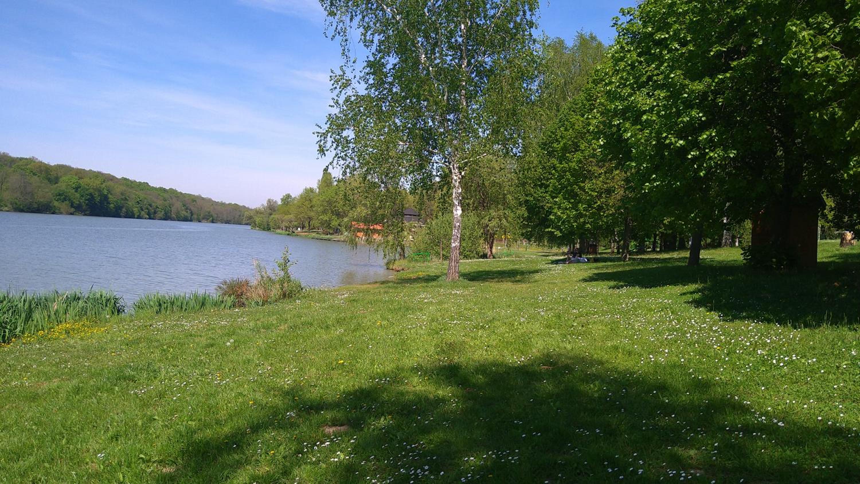 Photo 22
