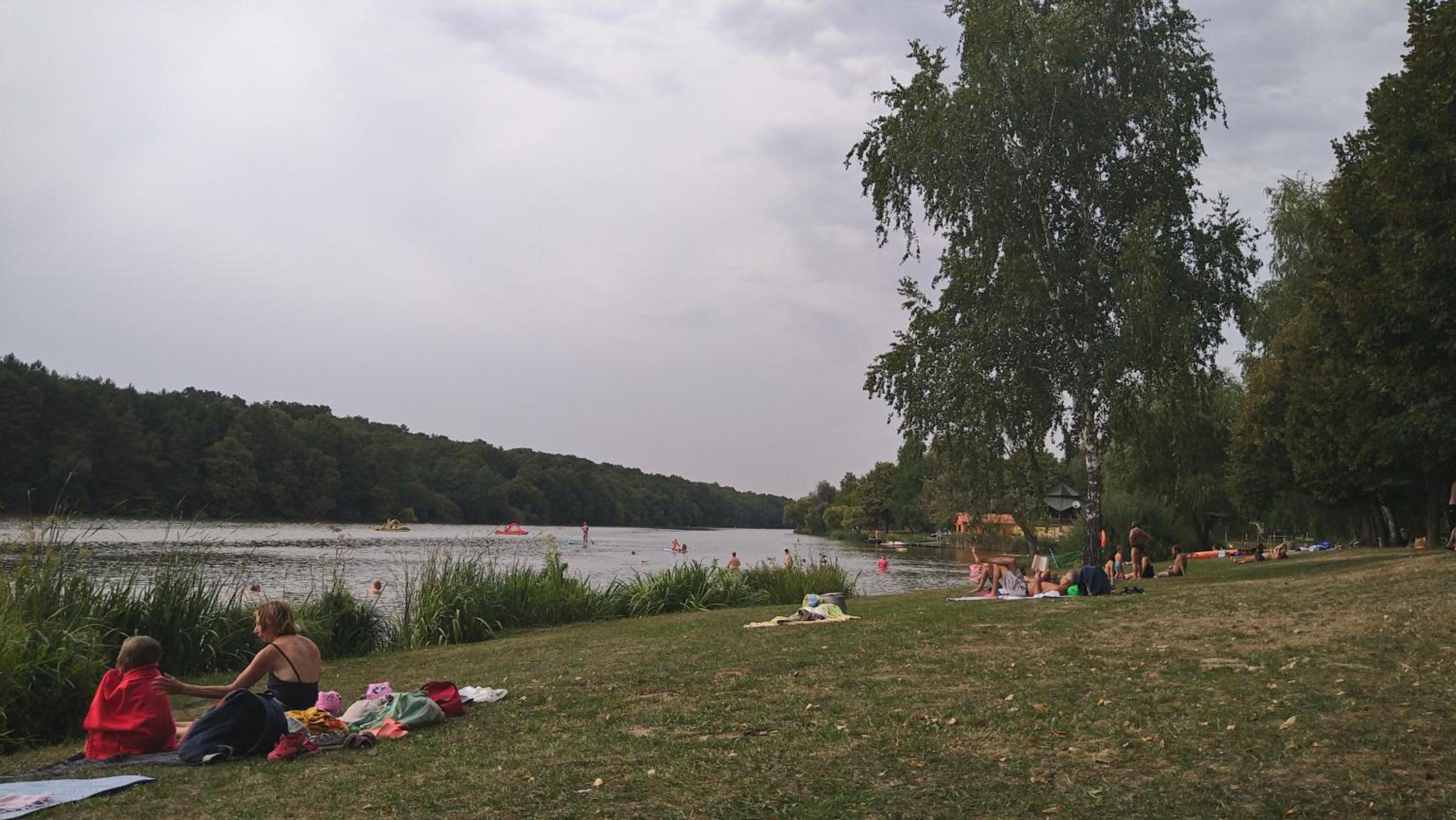 Photo 25